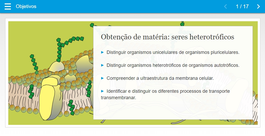 Obtenção de matéria: seres heterotróficos