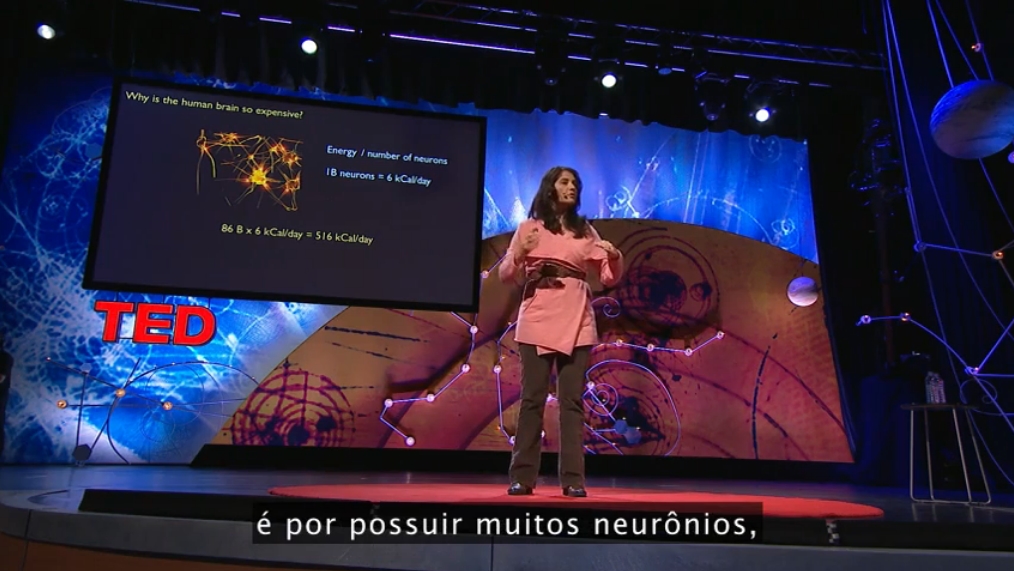 O que tem o cérebro humano de tão especial?
